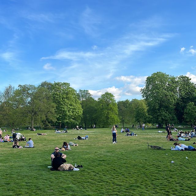 Perfect sunny day in Greenwich park 