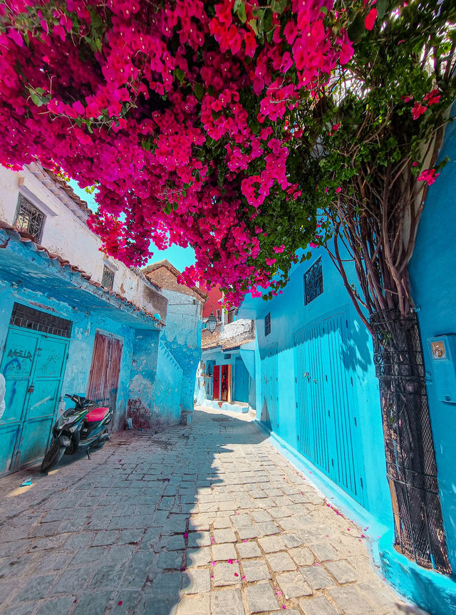 The Beautiful Blue City 💙