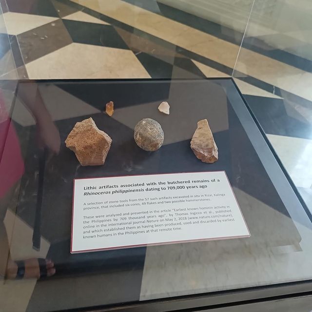 National Museum of Natural History Manila 🗺️