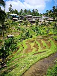 Bali's Tegallalang Rice Terraces
