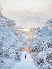 태백산 국립공원