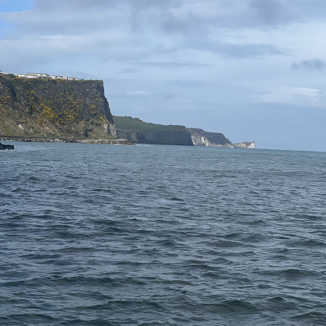 Rathlin Island Bird Sanctuary 