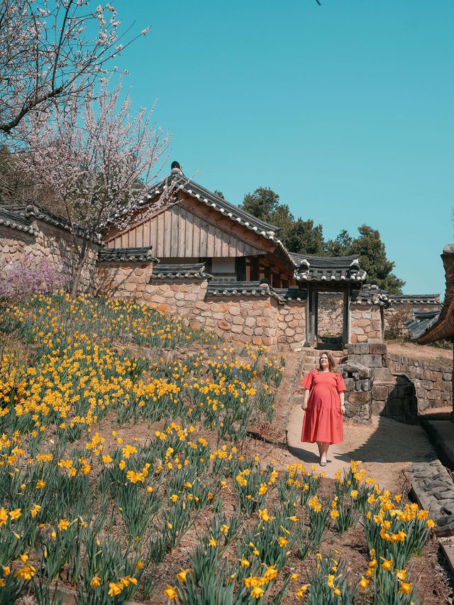 추사고택 🌼