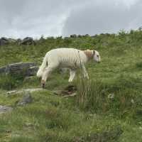 Hiking Lovers in Wales 