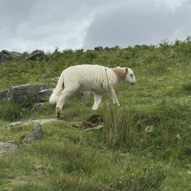 Hiking Lovers in Wales 
