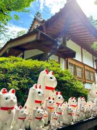 ⛩️豪德寺🐱藏有大量招財貓雕像的佛寺