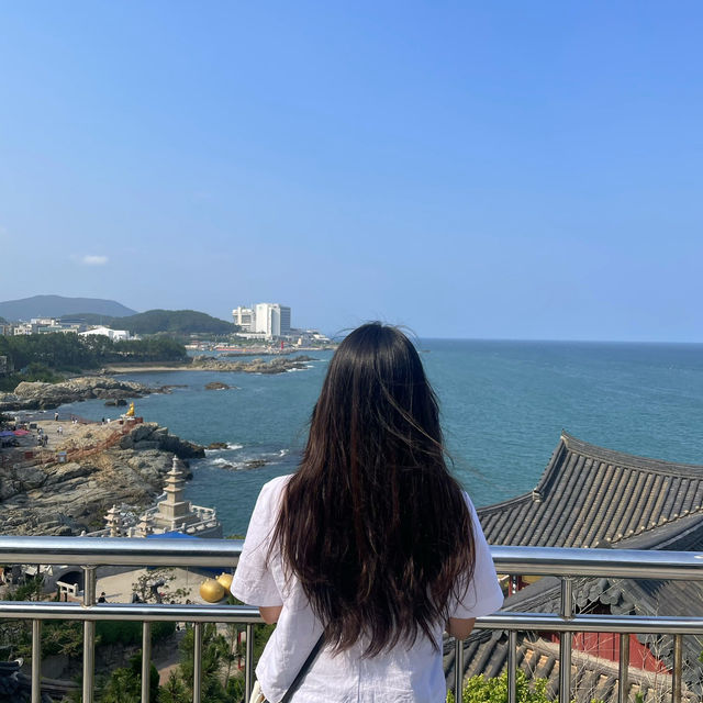 여름 국내 여행지 부산🩵