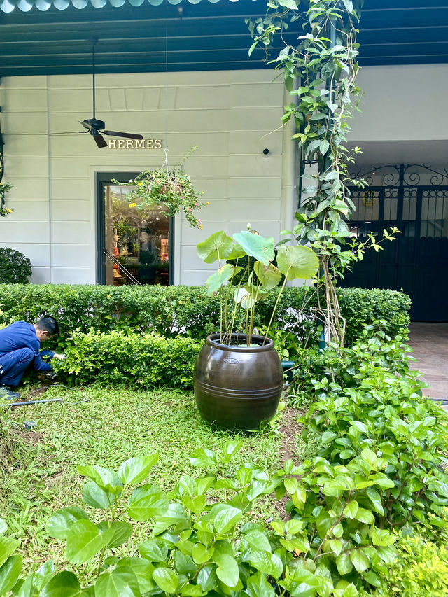 🌳 Beautiful Grounds, Pool & Breakfast Experience