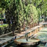 Majorca - Palma Itinerary 1 DAY ✨⭐✨