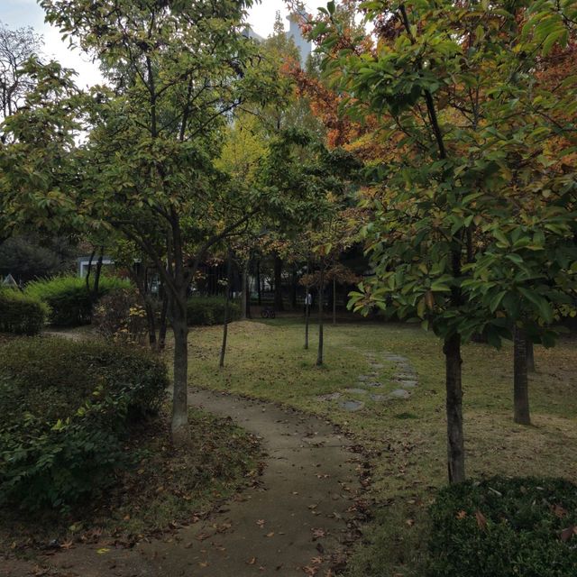 국내여행 대전 둔산동에 위치한 작고 예쁜 공원인 씨애틀공원