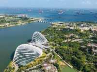 Singapore is truly another world! 