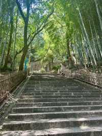 Why Hangzhou should be on your China bucket list! 