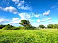 A Perfect Summer Day at Birmingham Airport Viewing Area – A Hidden Gem in Sheldon Country Park