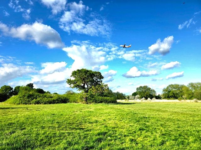 A Perfect Summer Day at Birmingham Airport Viewing Area – A Hidden Gem in Sheldon Country Park