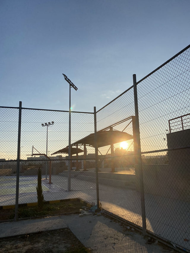 Beneath the sun, beside the court, the tree stands—quiet, strong, and full of light