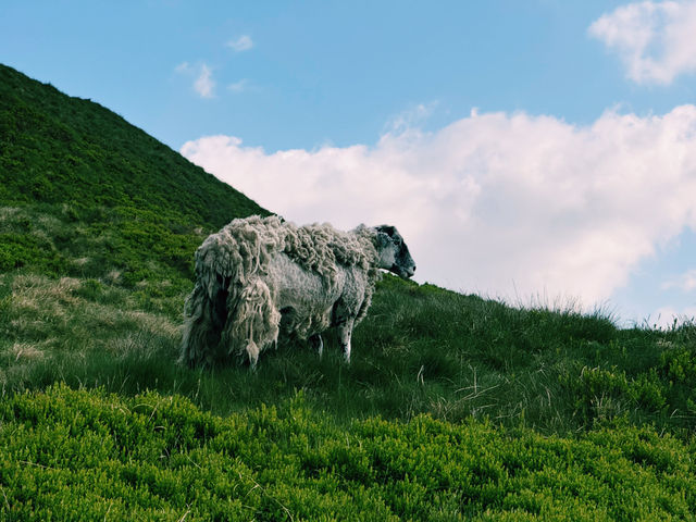 🌄🚆 Escape Manchester: Day Trip to the Stunning Peak District! 🌿🍃