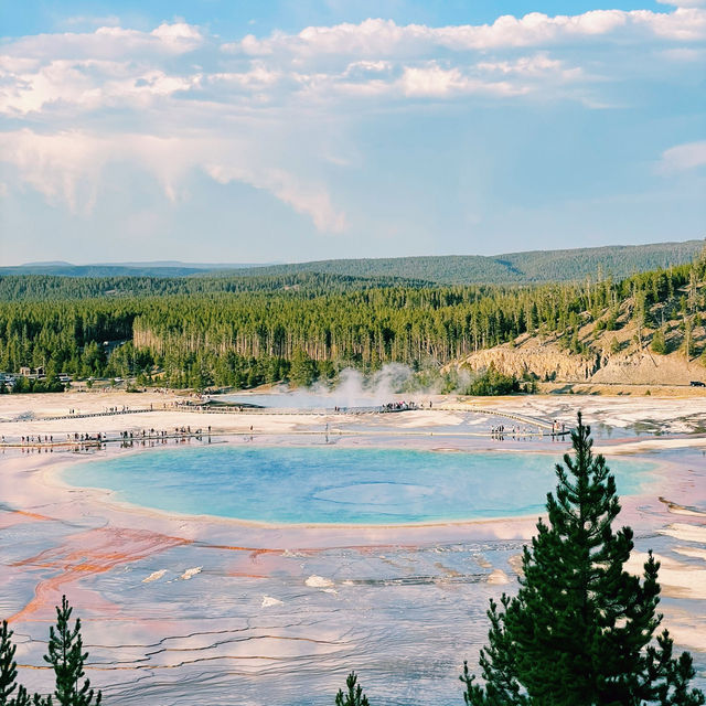 🥾 Top Hikes in Yellowstone National Park 🌲🦌