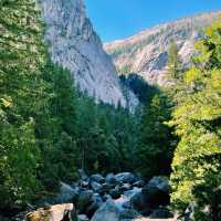 🚗 Getting Around Yosemite National Park – Transportation Tips!