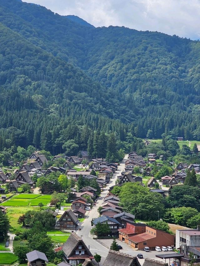 🏔️ Takayama, Shirakawa-go or Kanazawa? Which Japanese Alps Gem Should You Visit?