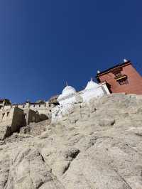 Royal Palace lost in mountains 