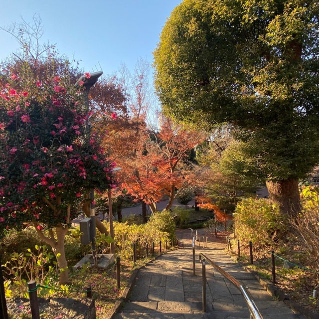 Tokyo Temples: Serenity Amid the City Buzz