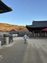 Donghwasa Serenity in the Middle of the Korean Hills