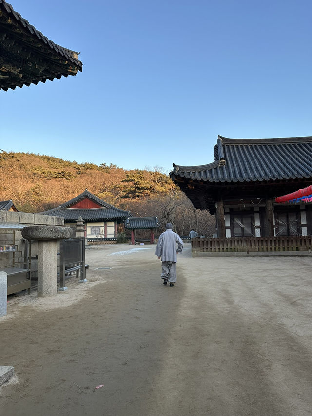 Donghwasa Serenity in the Middle of the Korean Hills