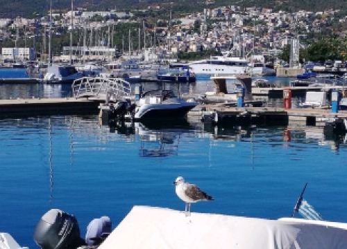 เริ่มต้นวันใหม่ของคุณที่ Harbor Promenade ที่คึกคัก 🚢🌅
สูดอากาศทะเลอีเจียนอันสดชื่น ขณะที่เรือประมงลอยลำและพ่อค้าแม่ค้าริมถนนขายบัคลาวาสดใหม่
เดินเล่นบนเส้นทางปูหินกรวดที่เรียงรายไปด้วยบ้านออตโตมันสีพาสเทล ถ่ายภาพสะพานส่งน้ำ Kamares อันโด่งดัง 🏛️—สิ่งมหัศจรรย์แห่งศตวรรษที่ 16 ที่ส่งน้ำราวกับเส้นเลือดโบราณ สัมผัสจังหวะแห่งประวัติศาสตร์! ⏳

เดินขึ้นเนินสู่ย่านเมืองเก่า Panagia 🏰 ผ่านตรอกซอกซอยแคบๆ
ตรอกซอกซอยสีขาวสะอาดตาคดเคี้ยวผ่านระเบียงที่ประดับประดาด้วยดอกไม้และร้านอาหารที่ซ่อนตัวอยู่
ปีนขึ้นไปยังปราสาท Kavala เพื่อชมวิวแบบพาโนรามา กำแพงไบแซนไทน์กระซิบเรื่องราวของสุลต่านและการปิดล้อม มองหารูปปั้นของ Mehmet Ali 👑 เด็กหนุ่มท้องถิ่นผู้ปกครองอียิปต์
เคล็ดลับ: จิบกาแฟ freddo ☕ ที่ร้านกาแฟบรรยากาศร่มรื่น

เดินลงไปยัง Imaret 🕌 บ้านพักคนยากจนอันน่าทึ่งในศตวรรษที่ 18 ที่กลายมาเป็นโรงแรมหรู
แอบมองเข้าไปข้างในเพื่อสัมผัสความหรูหราแบบออตโตมัน ทั้งน้ำพุ โดม และลานภายในอันเงียบสงบ
ใกล้ๆ กันนั้น พิพิธภัณฑ์โบราณคดี 🏺 จัดแสดงโบราณวัตถุสมัยฟิลิปปี ทั้งโมเสกโรมัน เครื่องมือยุคหินใหม่ ดื่มด่ำกับความรุ่งเรือง 7,000 ปีใน 30 นาที!

รับประทานอาหารกลางวันบนซูฟลากิเสียบไม้ 🥙 หรือปลาหมึกย่าง 🐙 ที่ร้านอาหารริมทะเล ทานคู่กับช็อตซิปูโร บ่าย: ถนน Meander Kyprou 🛣️ เส้นทางเล็กๆ ของคาวาลา ผ่านโกดังยาสูบที่กลายเป็นแกลเลอรี
ปิดท้ายด้วยการลงเล่นน้ำที่หาด Ammolofi 🏖️ หาดทรายสีทอง คลื่นสีฟ้าคราม

ดื่มอวยพรพระอาทิตย์ตกที่ท่าเรือ: ถืออูโซไว้ในมือ ชมเรือเฟอร์รี่ข้ามฟากไปยังเมือง Thassos
บรรยากาศของ Kavala เป็นยังไงบ้าง? หลากหลาย มีชีวิตชีวา และน่าหลงใหลสุดๆ 🇬🇷❤️