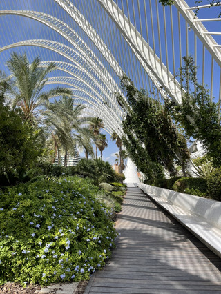 Valencia’s Ciudad de las Artes y las Ciencias: A Futuristic Wonder