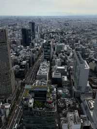 Urban Views in Tokyo🏙️