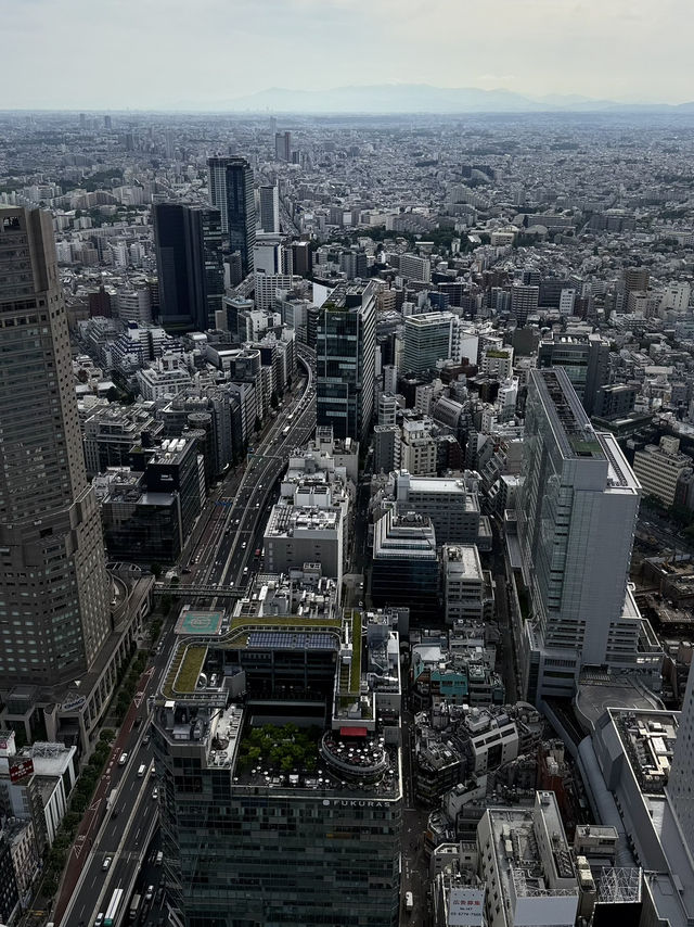 Urban Views in Tokyo🏙️