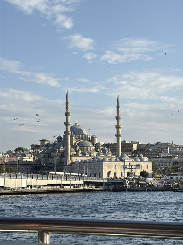 The Bosphorus⛴️