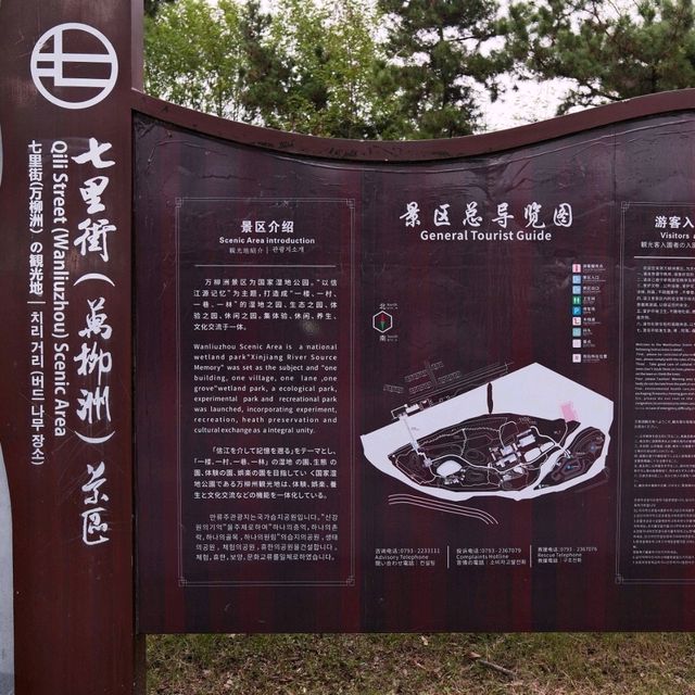 Perfect Day Walk in Qili Street (Wanliuzhou) Scenic Area 🌿🏞️🚶