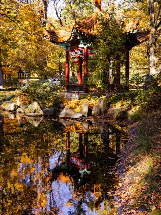 Łazienki Królewskie — 華沙金色十月的皇家寧靜