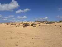 A Hidden Gem in the Canaries 🏝️