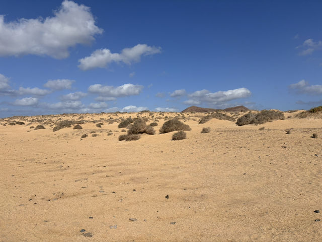 A Hidden Gem in the Canaries 🏝️ A Hidden Gem in the Canaries 🏝️