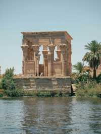 루크소르 신전의 야경, 시간이 멈춘 숲 🌙🔥