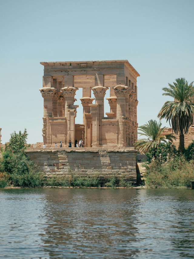 루크소르 신전의 야경, 시간이 멈춘 숲 🌙🔥