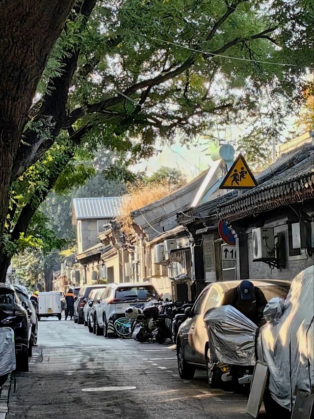 Гайд по Пекину: Аутентичные хутуны,Храм Белой Ступы и аптека Гайд по Пекину: Аутентичные хутуны,Храм Белой Ступы и аптека