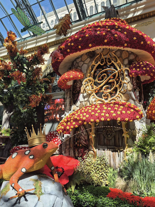 Paths that invite exploration and relaxation. 🌿🚶‍♂️🌸