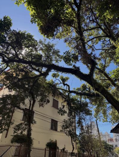 🇧🇷 São Paulo — The Energy of Brazil’s Biggest City 🌆✨