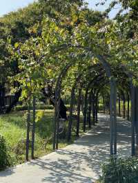 深圳深度遊 四海公園 可以放歌嘅凳