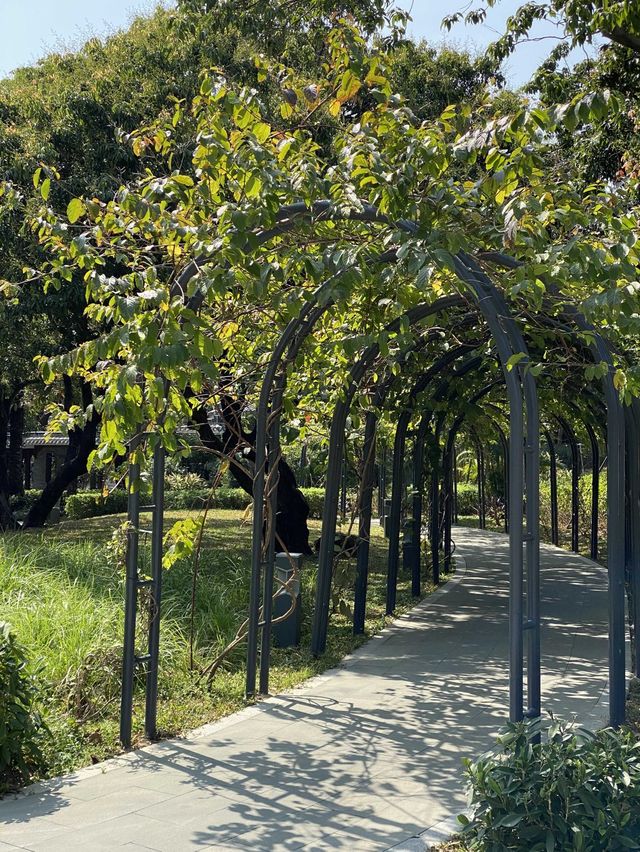 深圳深度遊 四海公園 可以放歌嘅凳