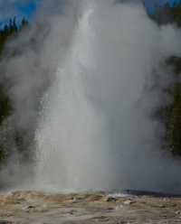 Old Faithful Geyser - the most famous geyser in Yellowstone National Park.