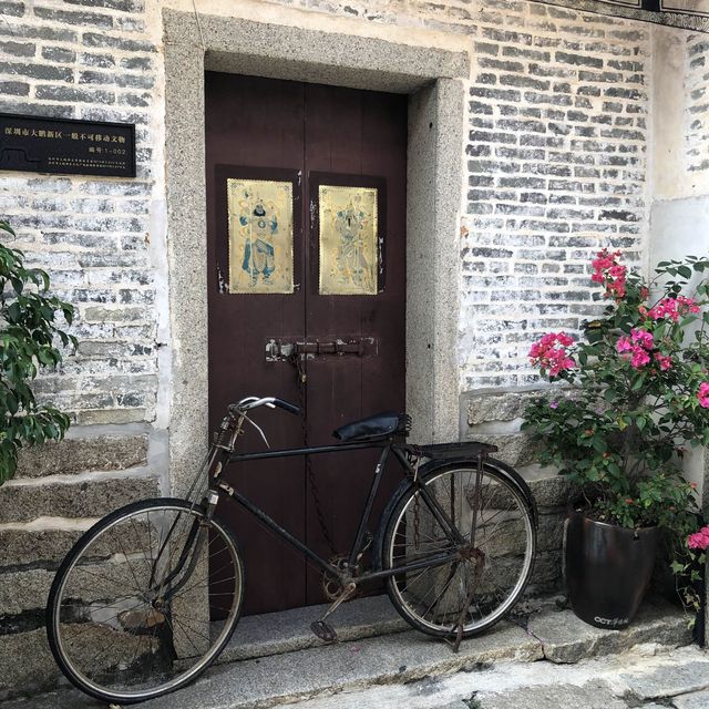 A rare glimpse of the past in Shenzhen  