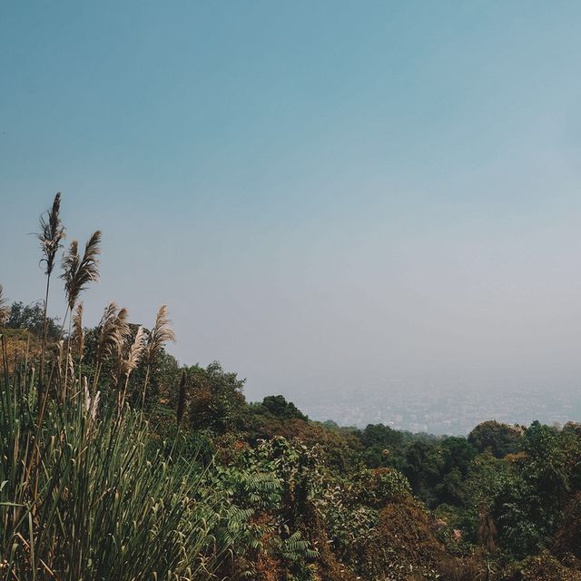 🇹🇭清邁素貼山公園