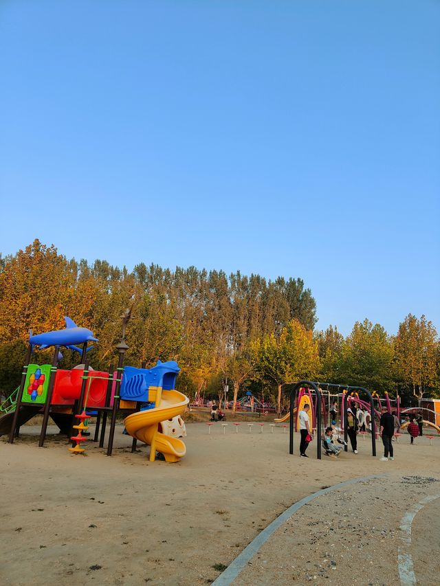 擁有森林棧道的天津免費公園