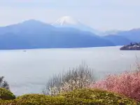 🌸 Exploring Hakone - A Once-in-a-Lifetime Adventure! 🗻