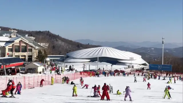 야부리 스키: 하얼빈의 겨울 행복