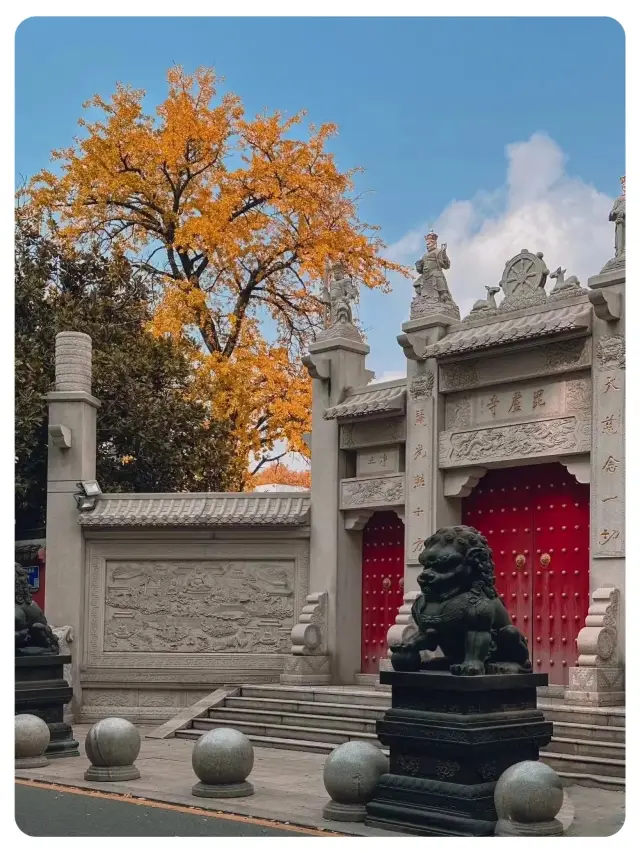 Nanjing Pilu Temple Guide｜Photo Spot｜Counting Arhats｜Wealth Seeking